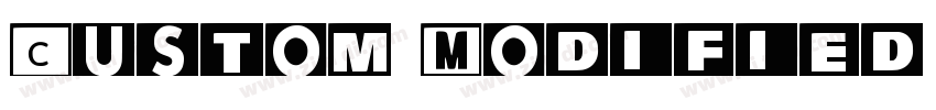 Custom Modified Word字体转换 Custom Modified Word字体转换